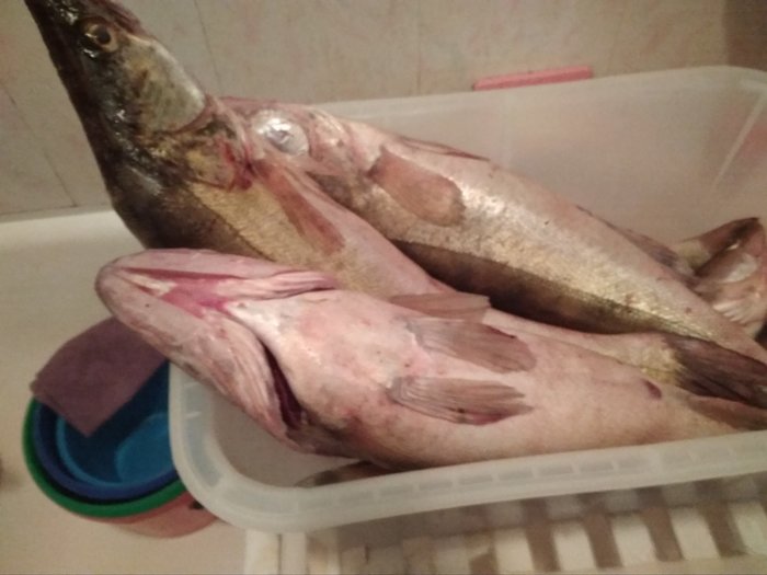 � ��� �� ������������� ���� ������?