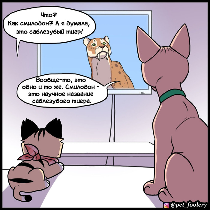   Pet Foolery,   , ,    , , 