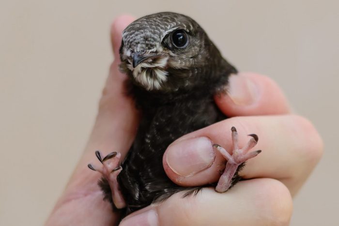 ������ � ��������� �������� ������