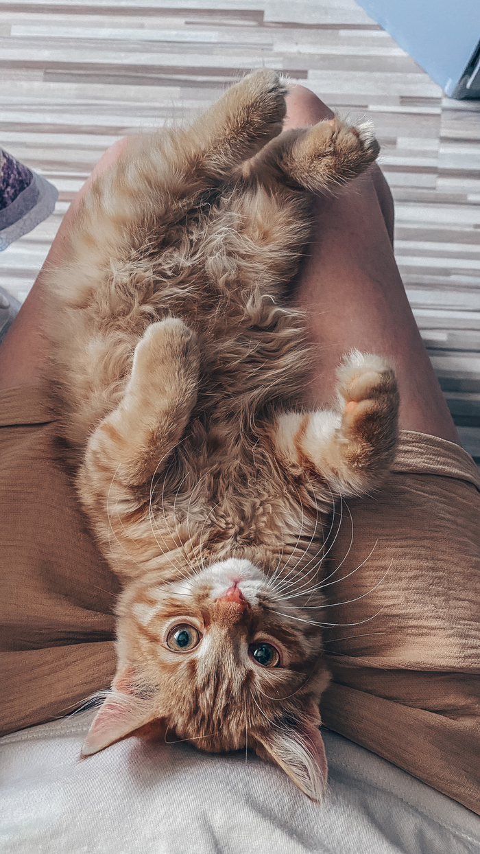 ����� �������