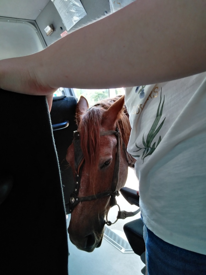 ���� ���� ��������� ����