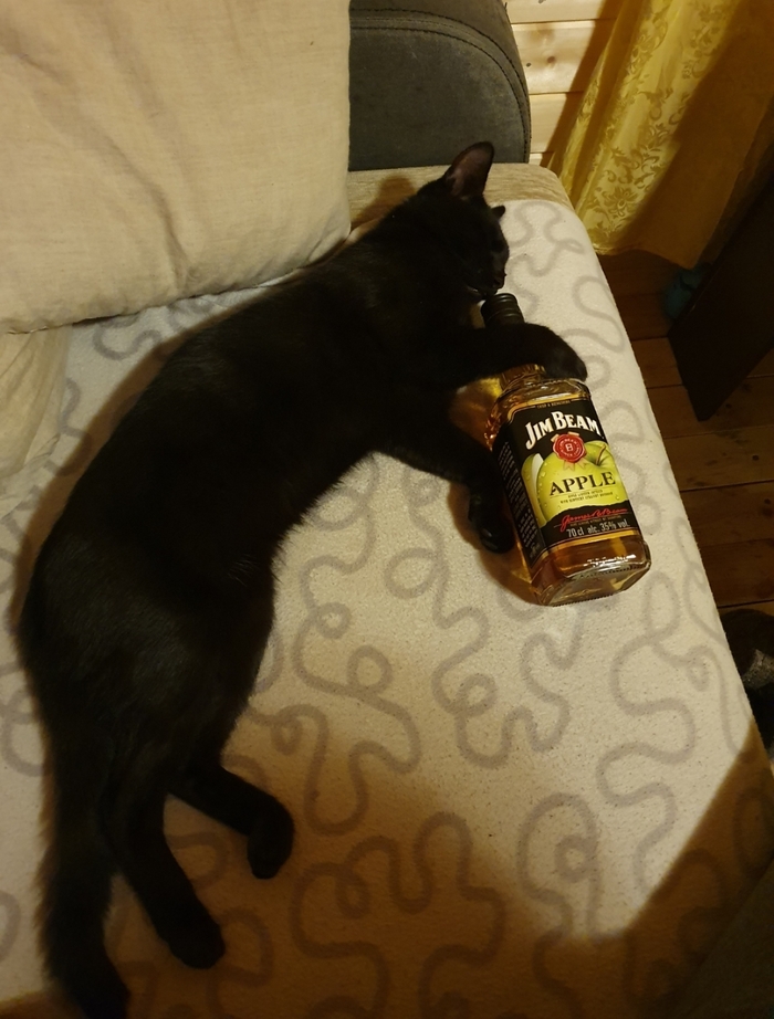 ���-��������� ���� � �����