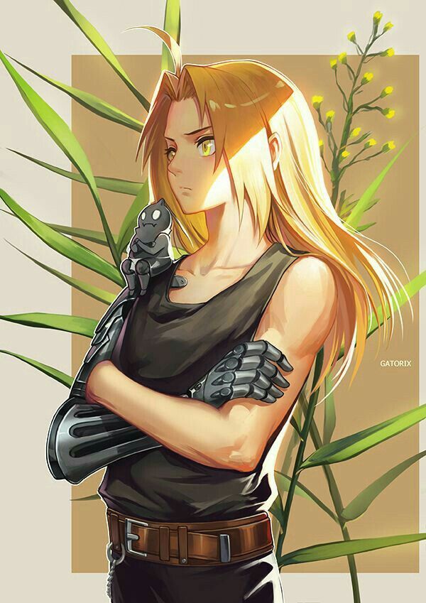    Fullmetal Alchemist
