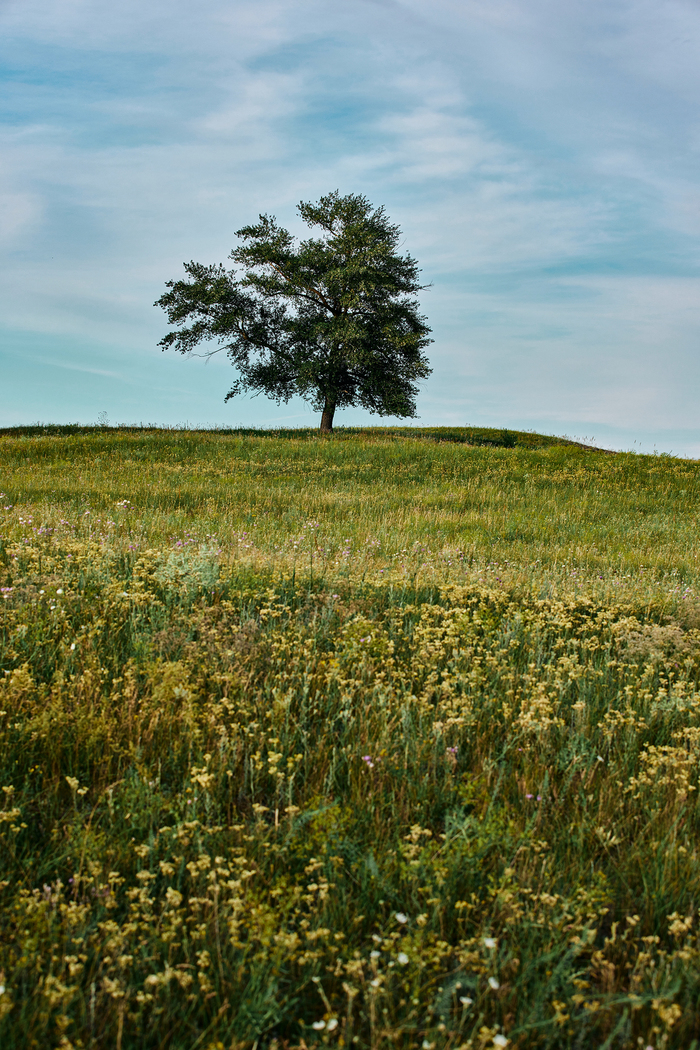 ������������� ������