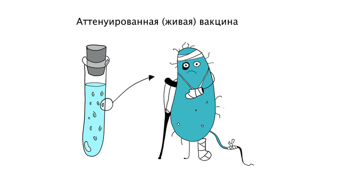 как узнать в какой поликлинике есть эпиваккорона. Смотреть фото как узнать в какой поликлинике есть эпиваккорона. Смотреть картинку как узнать в какой поликлинике есть эпиваккорона. Картинка про как узнать в какой поликлинике есть эпиваккорона. Фото как узнать в какой поликлинике есть эпиваккорона