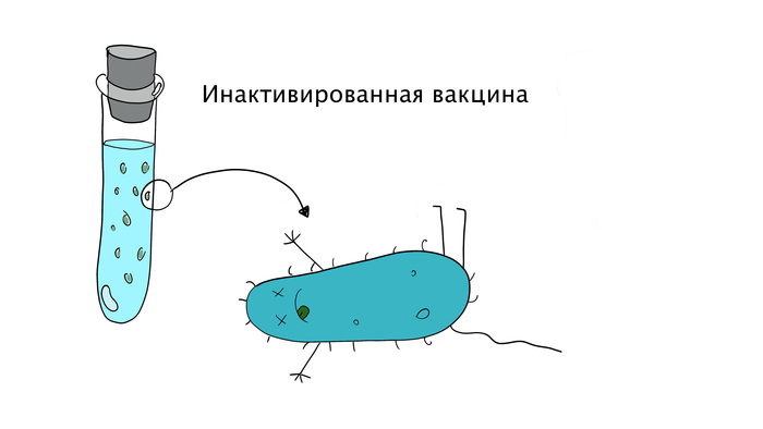 как узнать в какой поликлинике есть эпиваккорона. Смотреть фото как узнать в какой поликлинике есть эпиваккорона. Смотреть картинку как узнать в какой поликлинике есть эпиваккорона. Картинка про как узнать в какой поликлинике есть эпиваккорона. Фото как узнать в какой поликлинике есть эпиваккорона