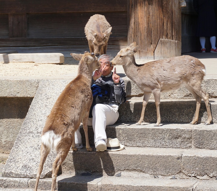 �� ������ ����������