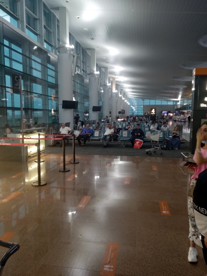 Переезд в Россию. Часть 4. Знакомство с работой и... Путешествие из Москвы в Москву Сочи, Москва, Ереван, Краснодар, Полет, Длиннопост