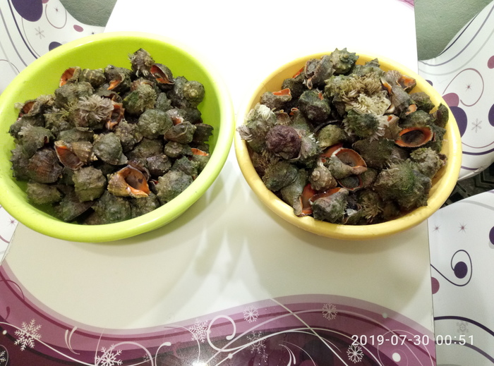 Ответ на пост «Летнее...»