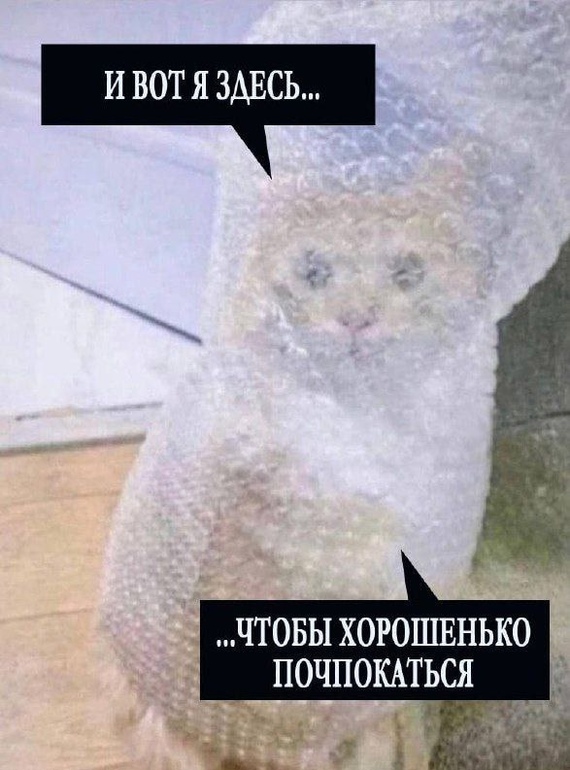 И вот я здесь