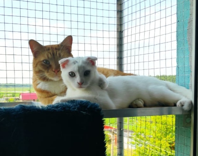 ���� � ����