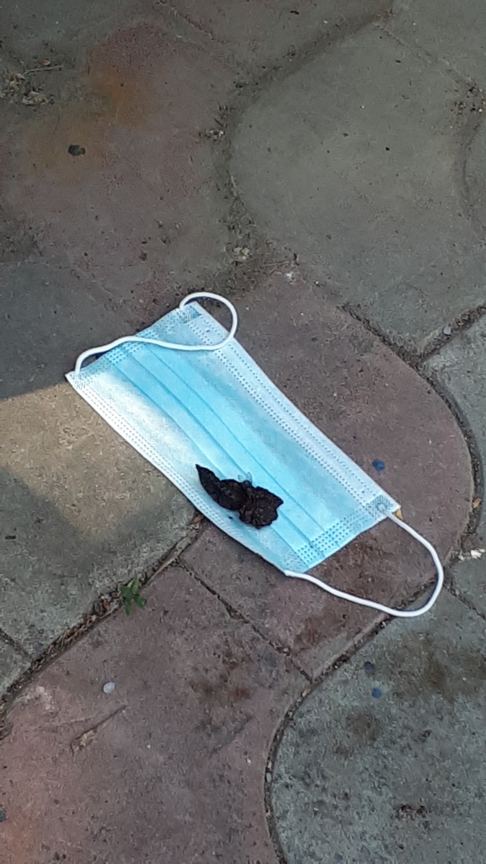 ������ ������ ��������