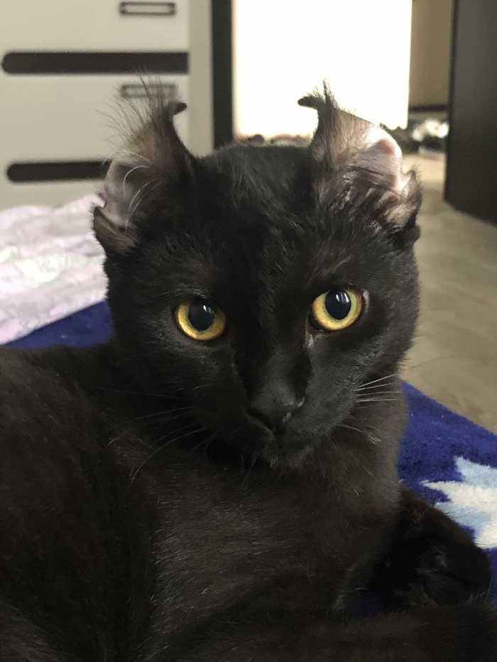 ���������� ��������... �� ����?!