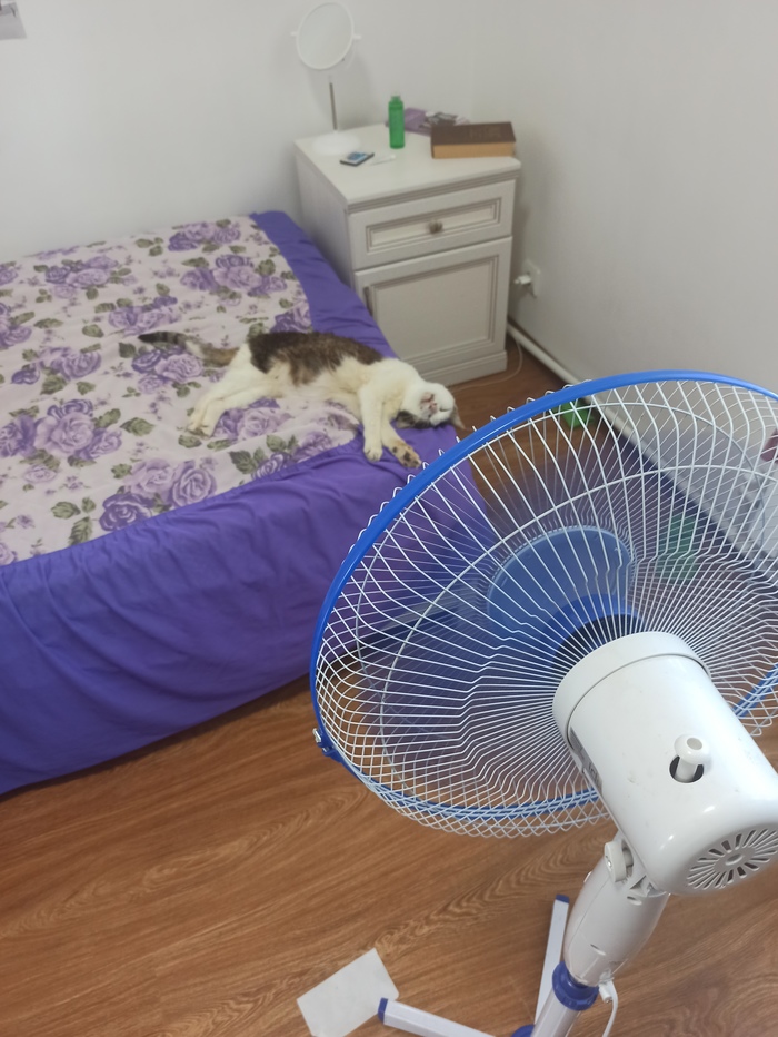 ����� �� ���� ���������� �� ������