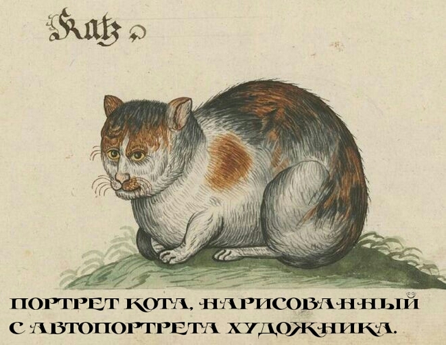 Псевдопортрет кота...