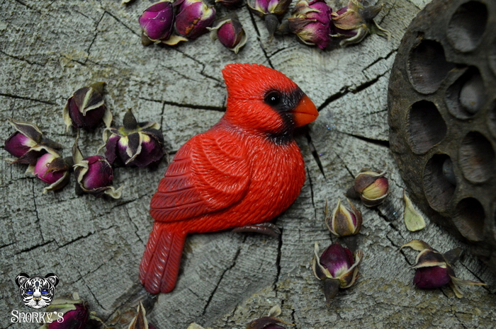    )   ... , Sailor Moon, , , ,  ,  ,   