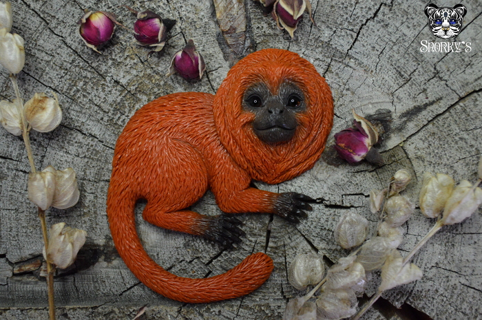    )   ... , Sailor Moon, , , ,  ,  ,   