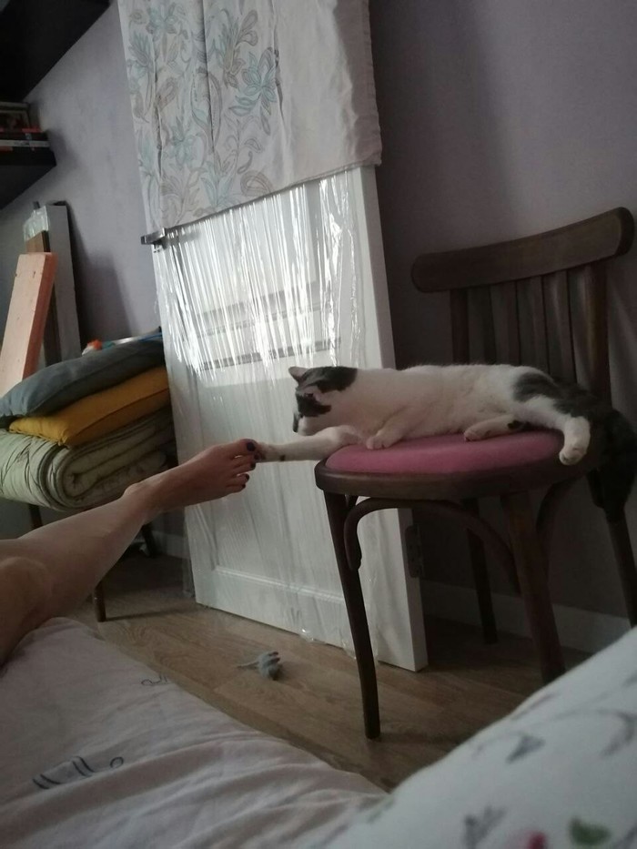    , 