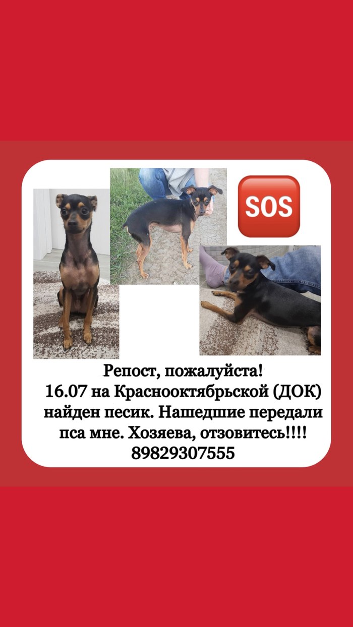 Додо будет позже что значит. Смотреть фото Додо будет позже что значит. Смотреть картинку Додо будет позже что значит. Картинка про Додо будет позже что значит. Фото Додо будет позже что значит