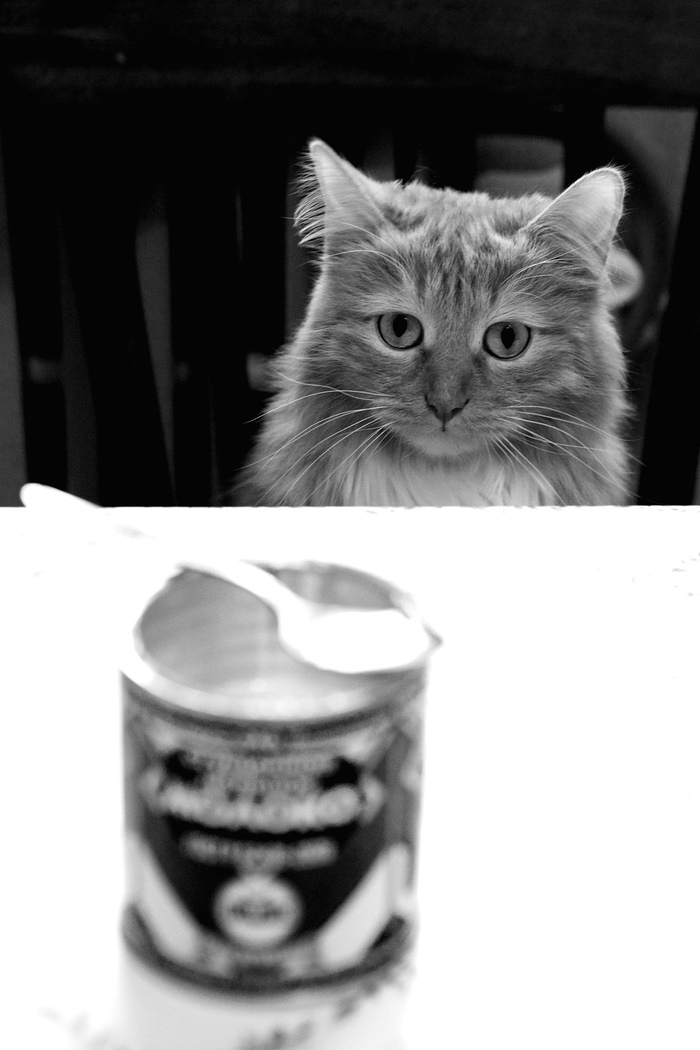 ����� ������� �����������, �� �� ���