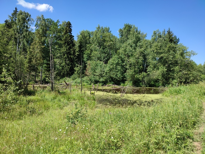 ����, ���, ������