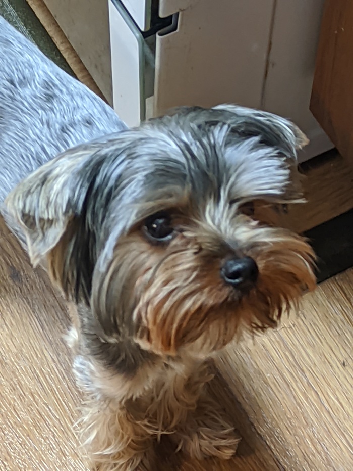 ������� ��������� �������