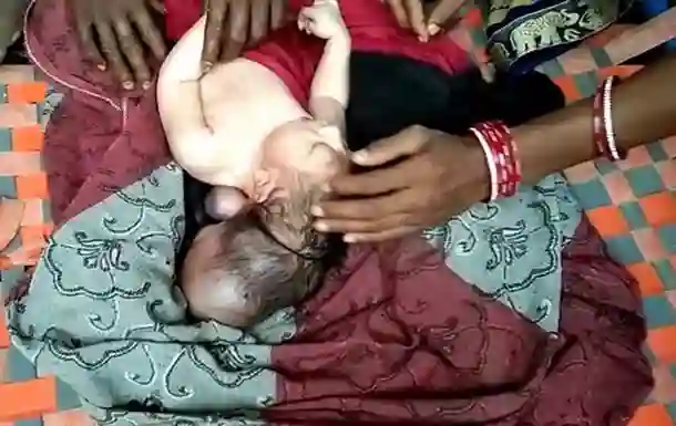      , , 