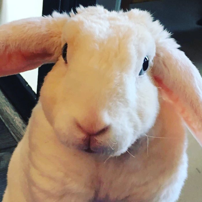 ���� ������ ����� �� ������ �������)