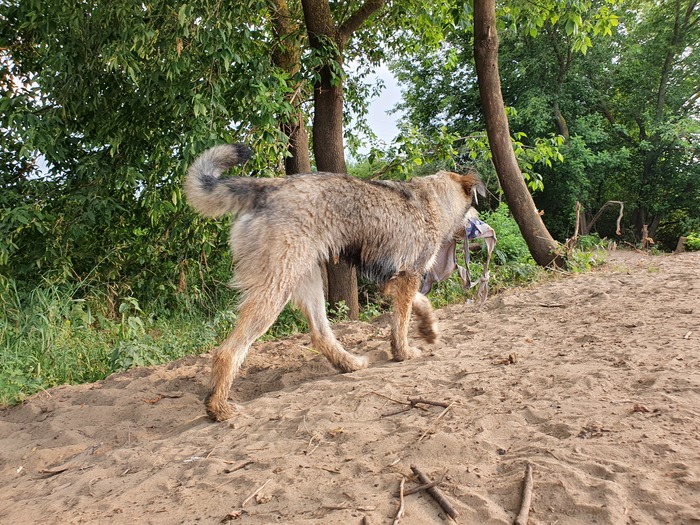 � ��������� ����������