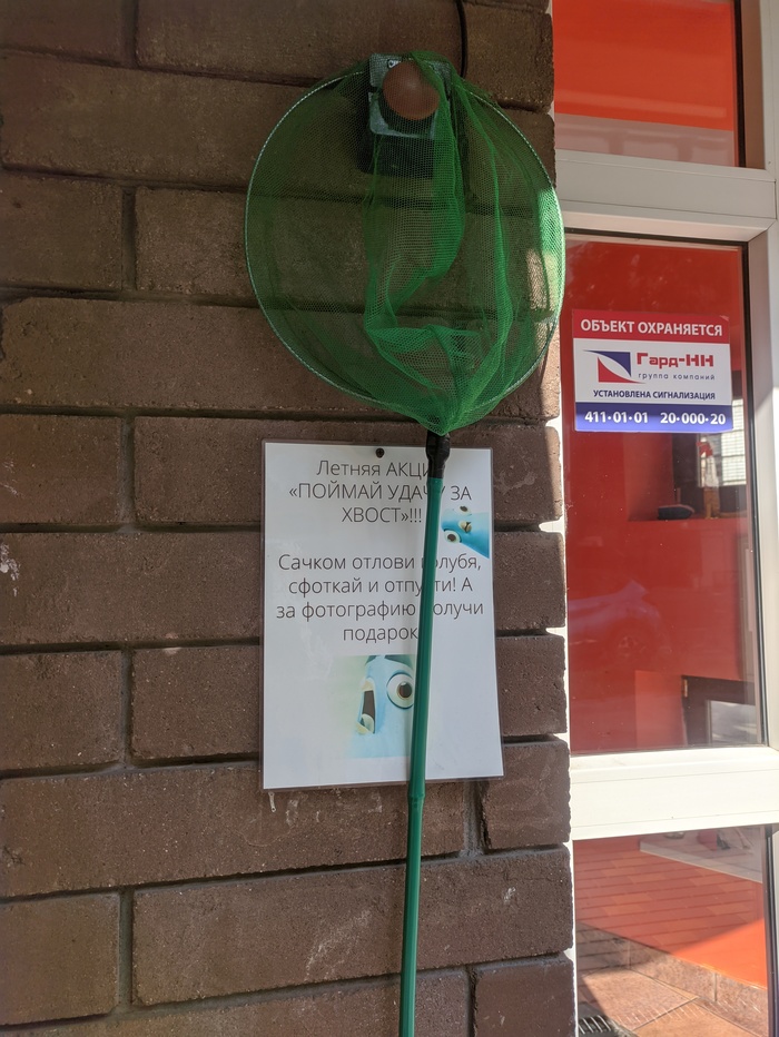 Кафе в Нижнем Новгороде