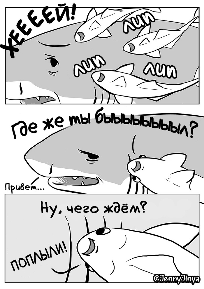 Вот что происходит когда умирает кит. Смотреть фото Вот что происходит когда умирает кит. Смотреть картинку Вот что происходит когда умирает кит. Картинка про Вот что происходит когда умирает кит. Фото Вот что происходит когда умирает кит