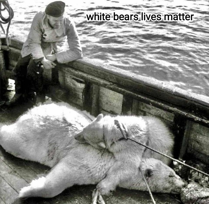Жизни белых медведей важны!