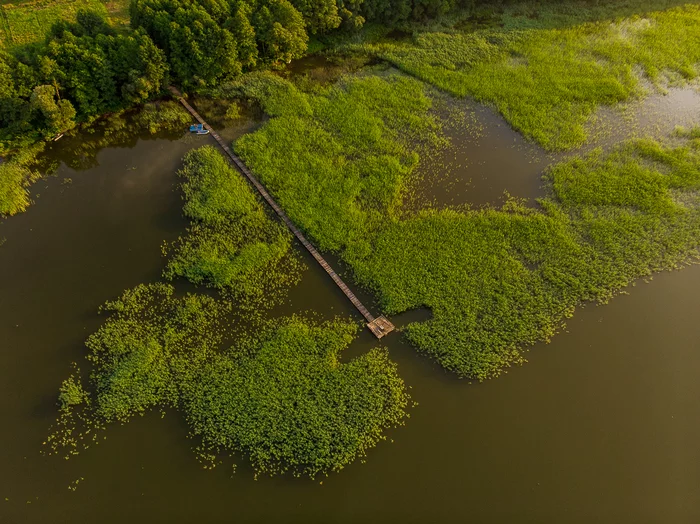 Озеро свирь