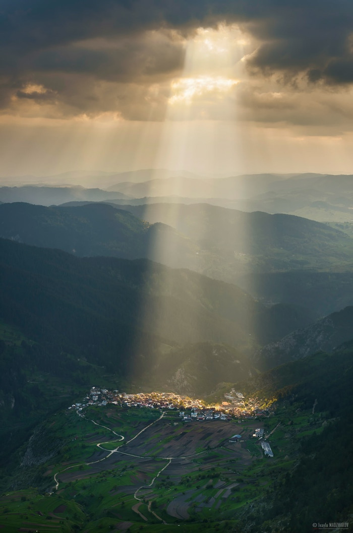 ���� �������, ������, ��������