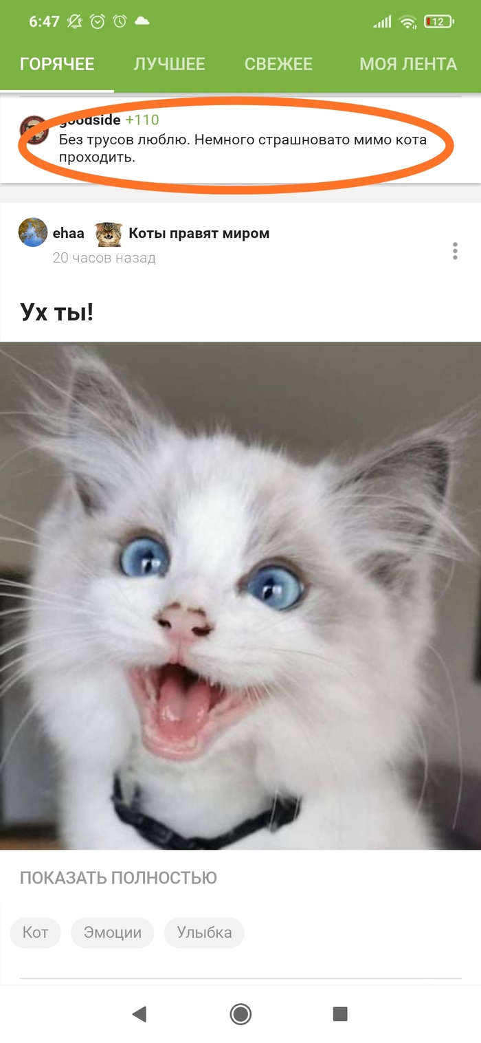 ����������?