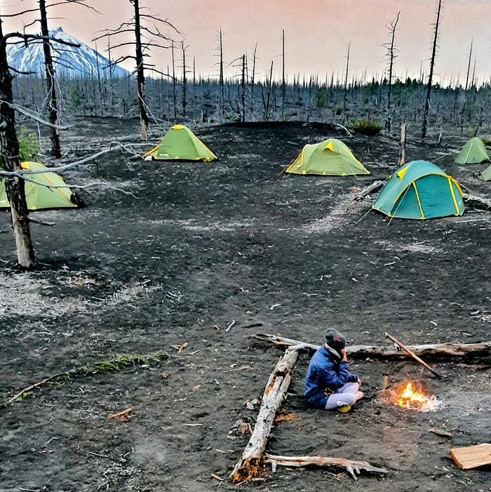 Раннее утро в Мёртвом лесу