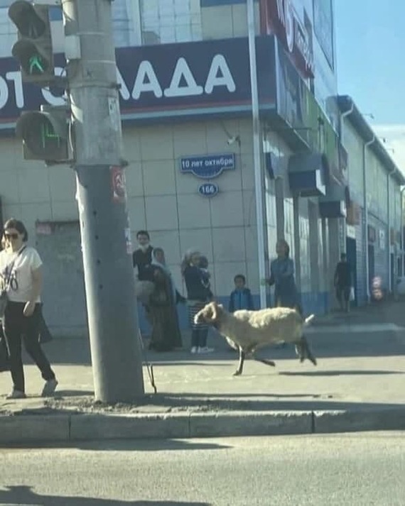 Не пытайся покинуть Омск