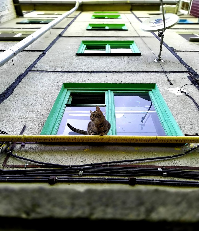 ���� ����������