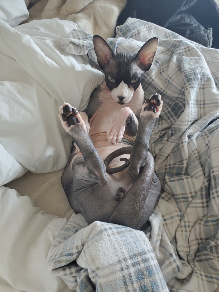    , , , , 