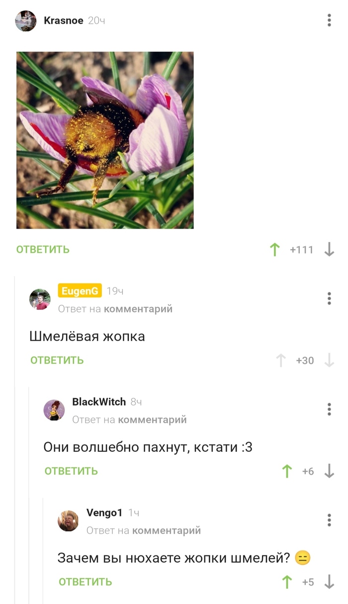 ������� �����