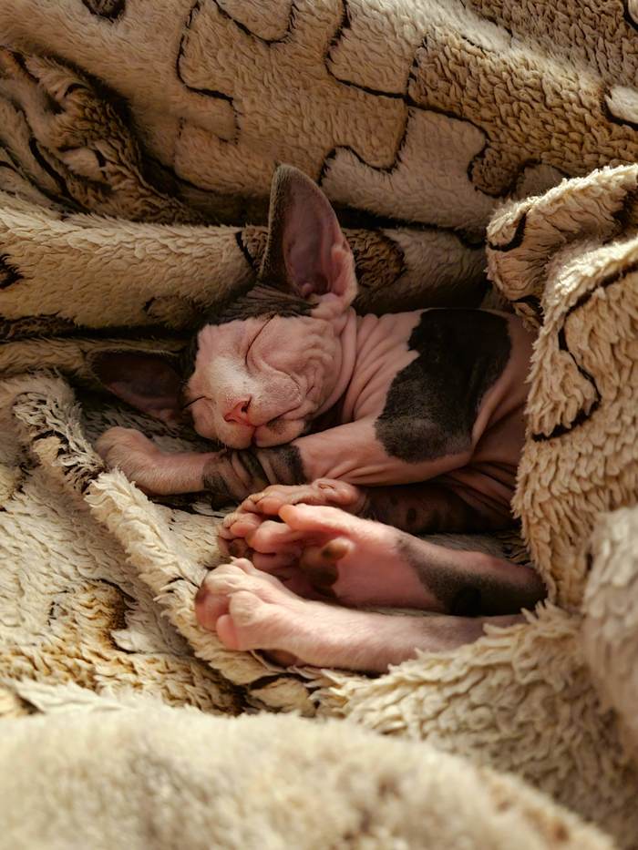 ��� ��������� ������� �������