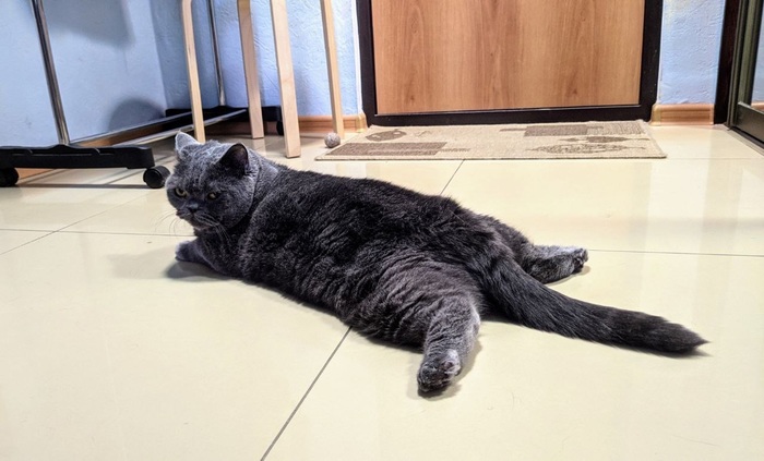 ����� ������ ��������� � ��� ����