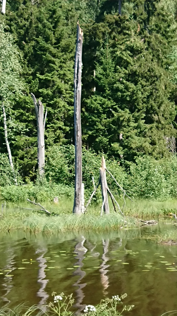 ����� �����