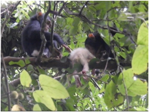 ������� �������� � �������� ������� ������� � ������