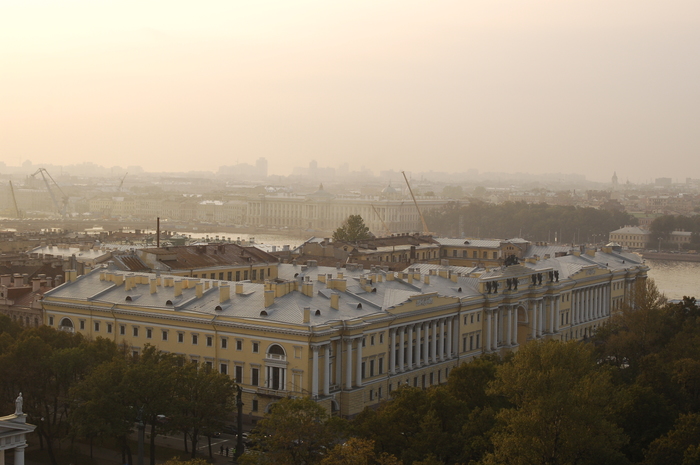 - 2006  -, 2006, , Nikon,   , 