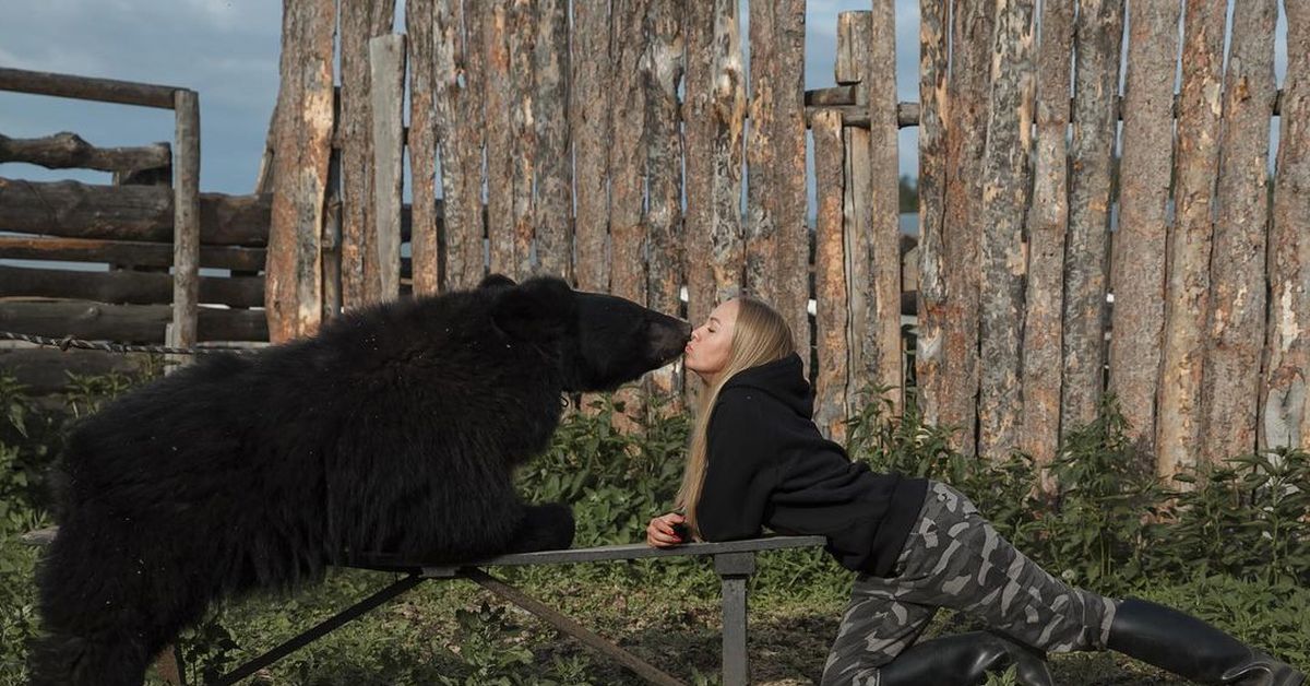 Интересный медведь. Медведь Арчи и Вероника дичка. Вероника дичка и медведь. Гигантский медведь и девочка. Медведь лучший друг.