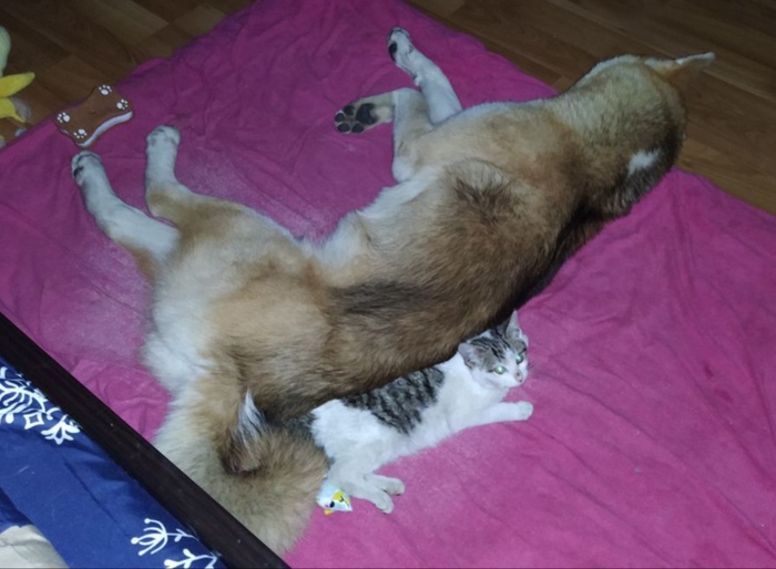 ������ � ������� �������