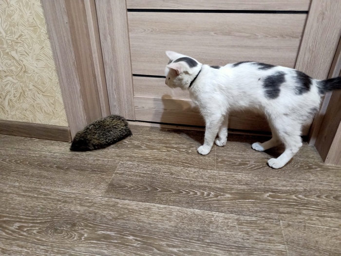    , , , 