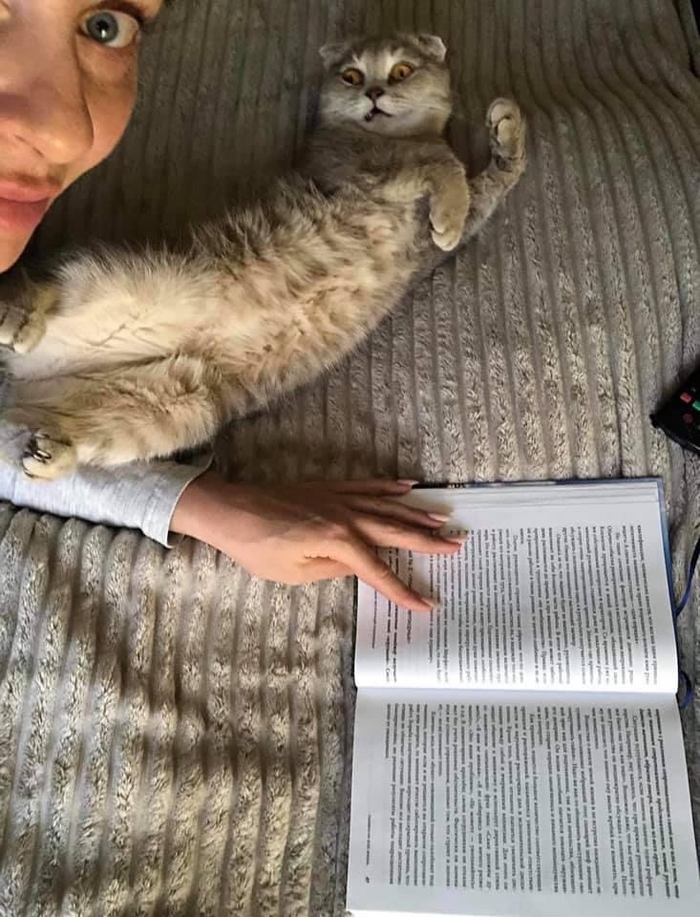 Ты что, мать твою, такое читаешь