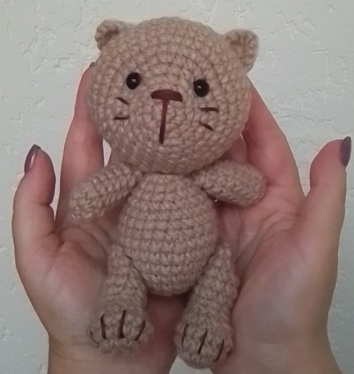 Котик связался